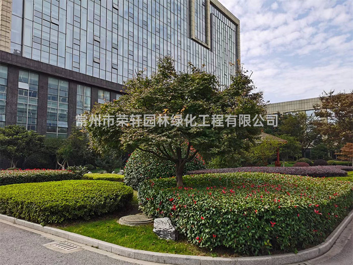 常州新譽集團養(yǎng)護